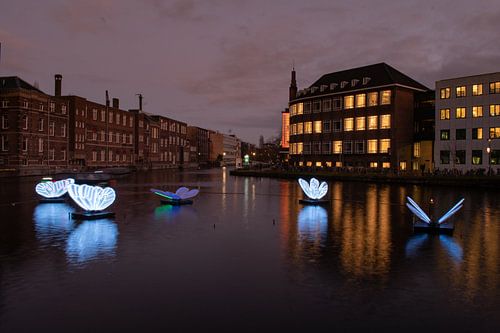 butterfly effect, Amsterdam light festival