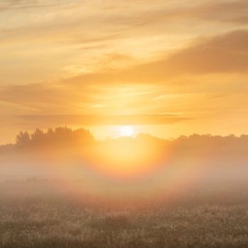 Sonnenaufgang mit Regenbogenkreis