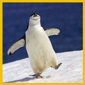 Sergey Kokinskiy Profile picture