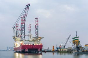 Die Seajacks Scylla im Hafen von Rotterdam