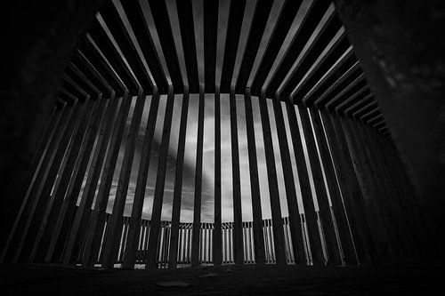 Wooden circle Borgloon