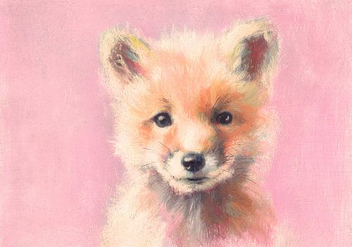 Young fox on pink