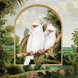 Elizabeth's Cockatoos in Brazil von Marja van den Hurk