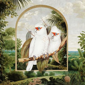 Elizabeth's Cockatoos in Brazil by Marja van den Hurk