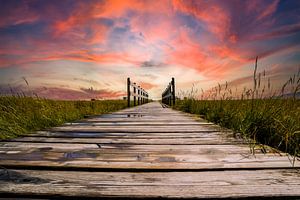 Pont en bois dans les marais salants de la mer du Nord au coucher du soleil sur Animaflora PicsStock