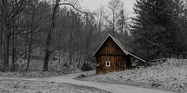 Vieille grange en bois dans la forêt sur Holger W. Spieker