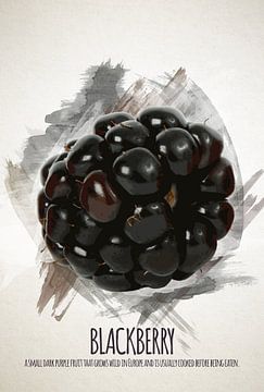 Fruities Blackberry by Sharon Harthoorn