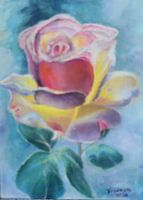 Radiant Rainbow Rose