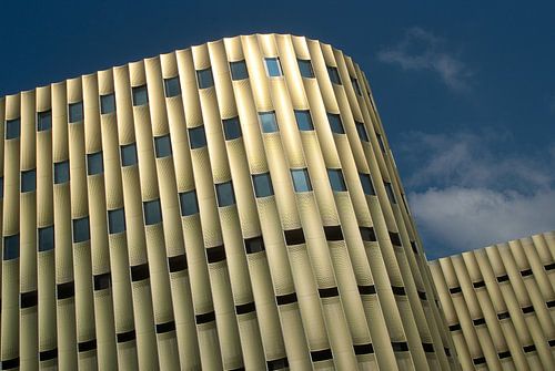 Gouden rondingen