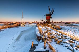 Cold morning