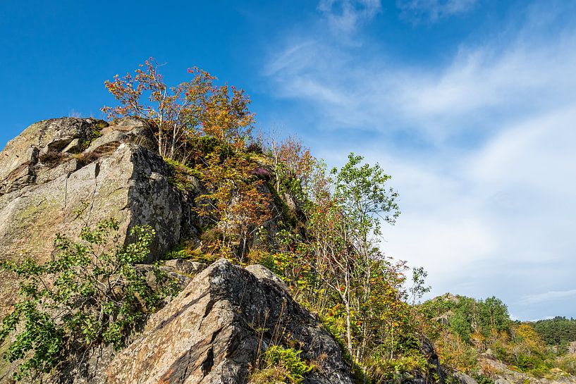 Landschaft auf der Insel Malön in Schweden von Rico Ködder