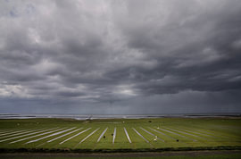 Dunkle Wolken über den Salzwiesen bei Hornhuizen, Groningen