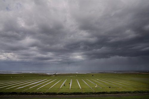 Dunkle Wolken über den Salzwiesen bei Hornhuizen, Groningen