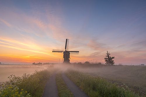 Omgeven door mist