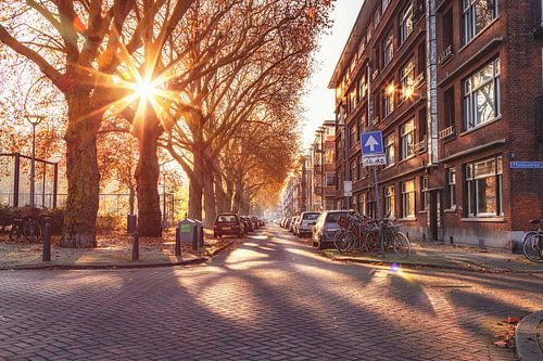 Autumn Spheres in Blijdorp, Rotterdam (NL)