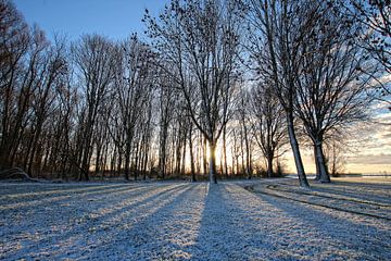 Winterlandschap von Bob Bleeker