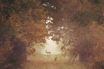 Damherten in de herfst van Monique van Genderen (in2pictures.nl fotografie)