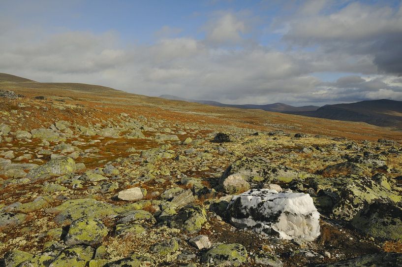 Dovre Nationaal Park van Karin Jähne
