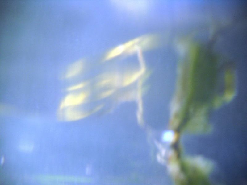 Under the surface 5 van Ansje Visser