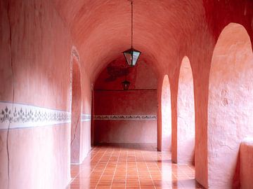 Mexico Valladolid - de roze gang - Convento de San Bernardino de Siena van Raisa Zwart