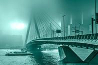 Erasmus-Brücke im Nebel - monochrom von Frans Blok Miniaturansicht
