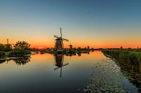 The windmills