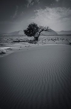 Woestijnlijnen in de Namib duinen van Namibië, Afrika van Patrick Groß