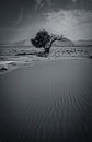 Desert lines in the Namib dunes of Namibia, Africa by Patrick Groß thumbnail
