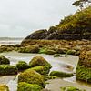 Beach on Vancouver Island by Louise Poortvliet
