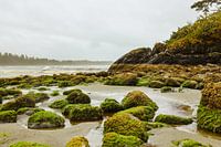 Strand op Vancouver Island