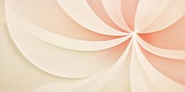 Forme de la fleur sur Bert Nijholt