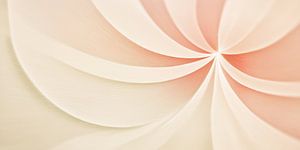 Form der Blume