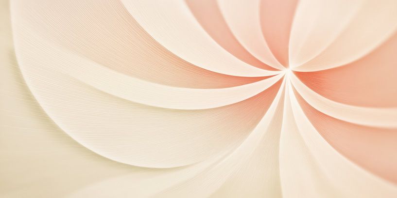 Forme de la fleur par Bert Nijholt