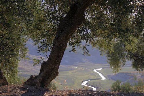 Uitzicht op de rivier.