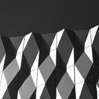 Zinder in Black and White