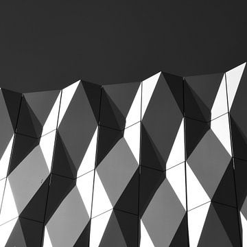 Zinder in Black and White by Jessica van der Mast