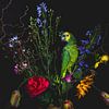 Tulpen en groene papegaai, tulips and green parrot van Corrine Ponsen