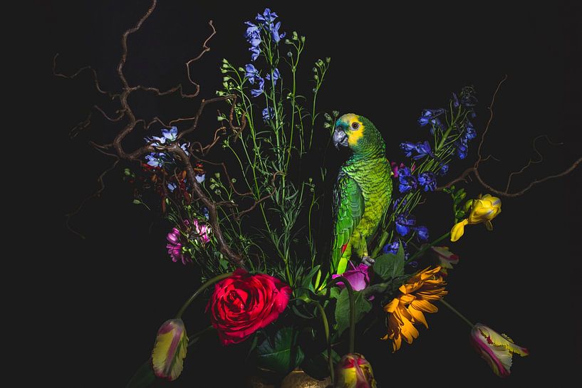 Tulips and green parrot, tulips and green parrot by Corrine Ponsen