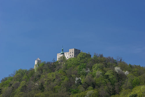 Timeless Grandeur: Historic Hilltop Fortress for Rustic Living R