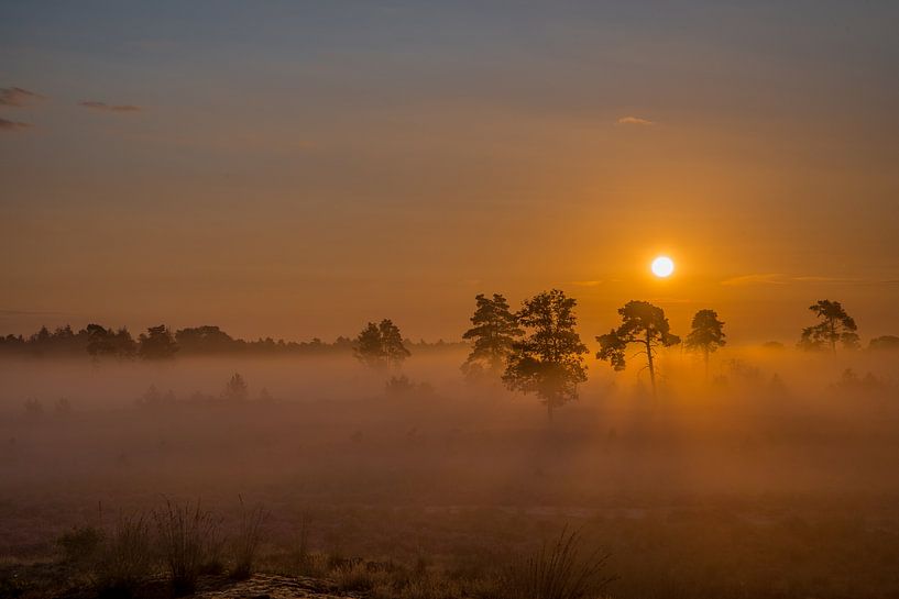 Zonsopkomst van Ger van Beek