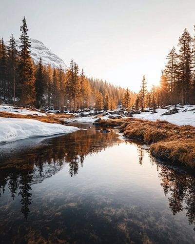 Winter berglandschap