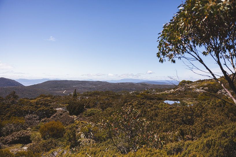 Mount Field: Jewel of Tasmania's Wilderness by Ken Tempelers