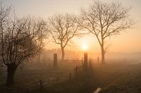 Zonsopkomst bij Formerum, Terschelling