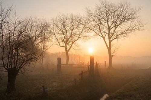 Zonsopkomst bij Formerum, Terschelling