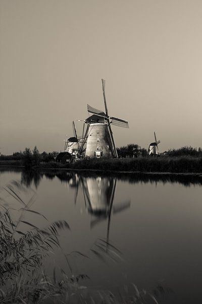 Kinderdijk in zwartwit von Petra Brouwer