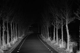 Dunkle Straße mit Bäumen von Dennis van der Geest
