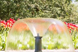 stromende fontein by Valqueira van der Does