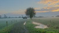 Mistig winterlandschap in het Vlaamse platteland van Kristof Lauwers thumbnail