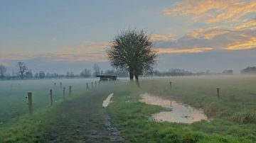 Neblige Winterlandschaft in der flämischen Landschaft