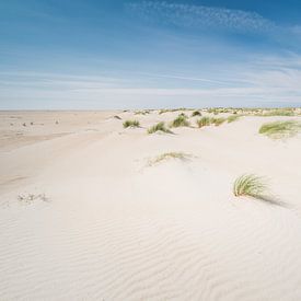Experience the pure island feeling in nature reserve De Hors, Texel by LYSVIK PHOTOS